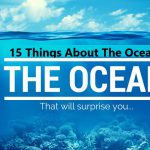 ۱۵ حقیقت حیرت انگیز  و ترسناک درباره اقیانوس ها که نمی‌دانید