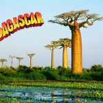 با ۳۰ حقیقت جالب در مورد ماداگاسکار آشنا شوید