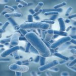 دیجی فکت: ۲۲ دانستنی درباره‌ی باکتری‌ها که باور نخواهید کرد!