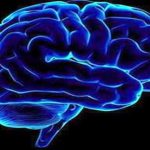دیجی فکت:۵۰ دانستنی راجع به مغز انسان